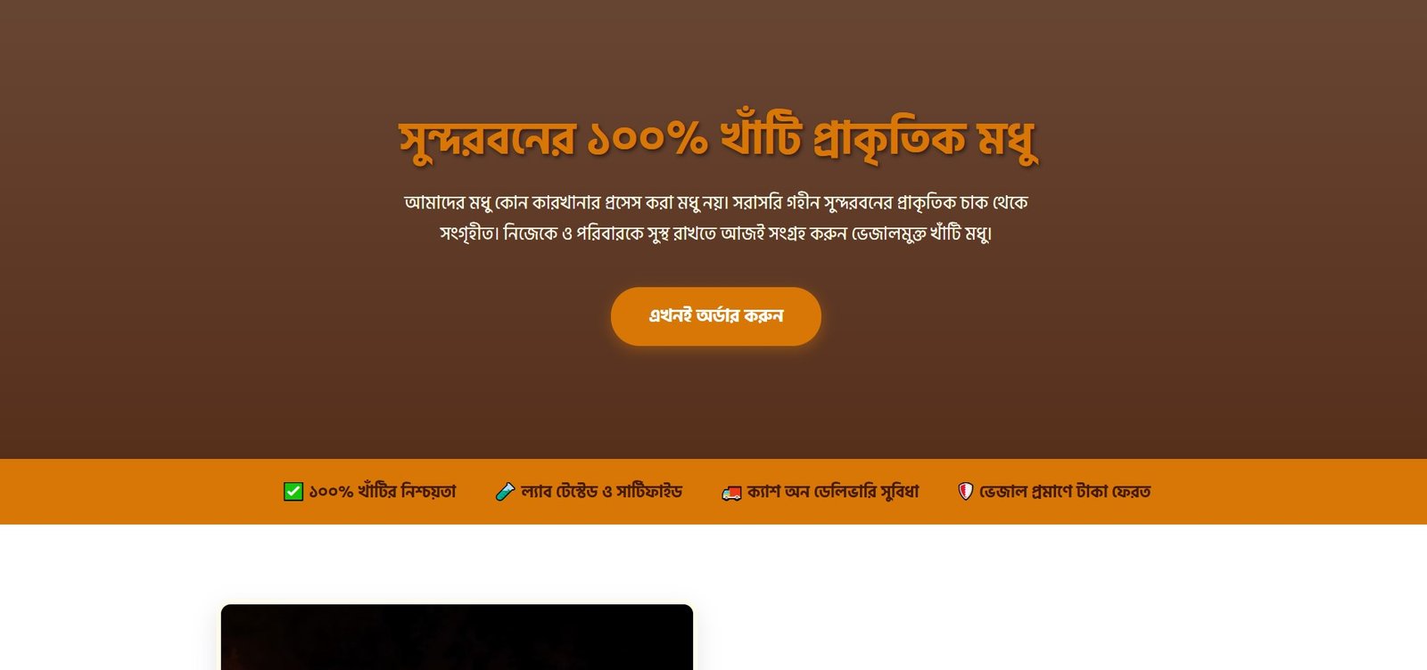 Single Product Sales Landing Page HTML Template (Free Download)